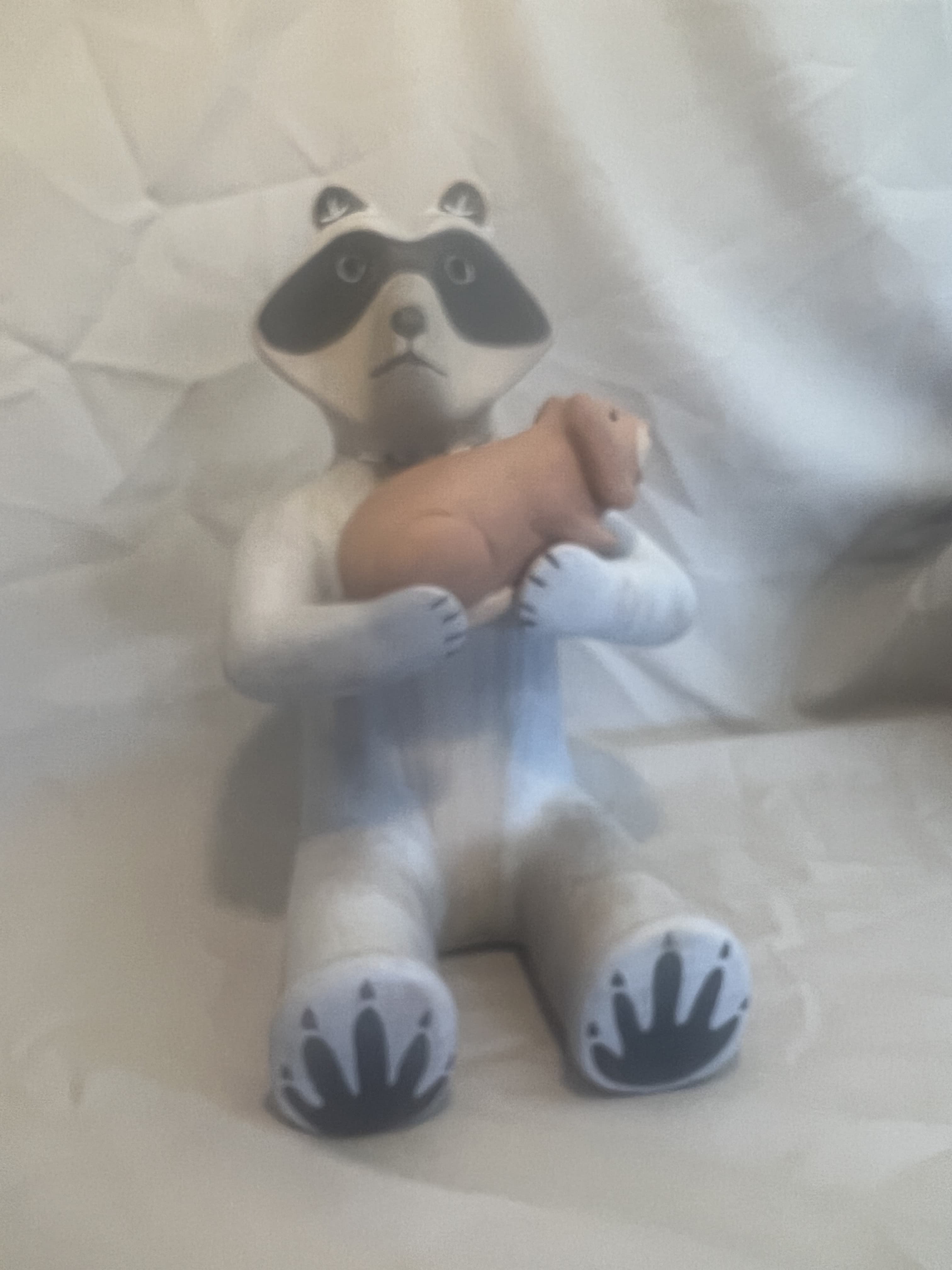 Raccoon