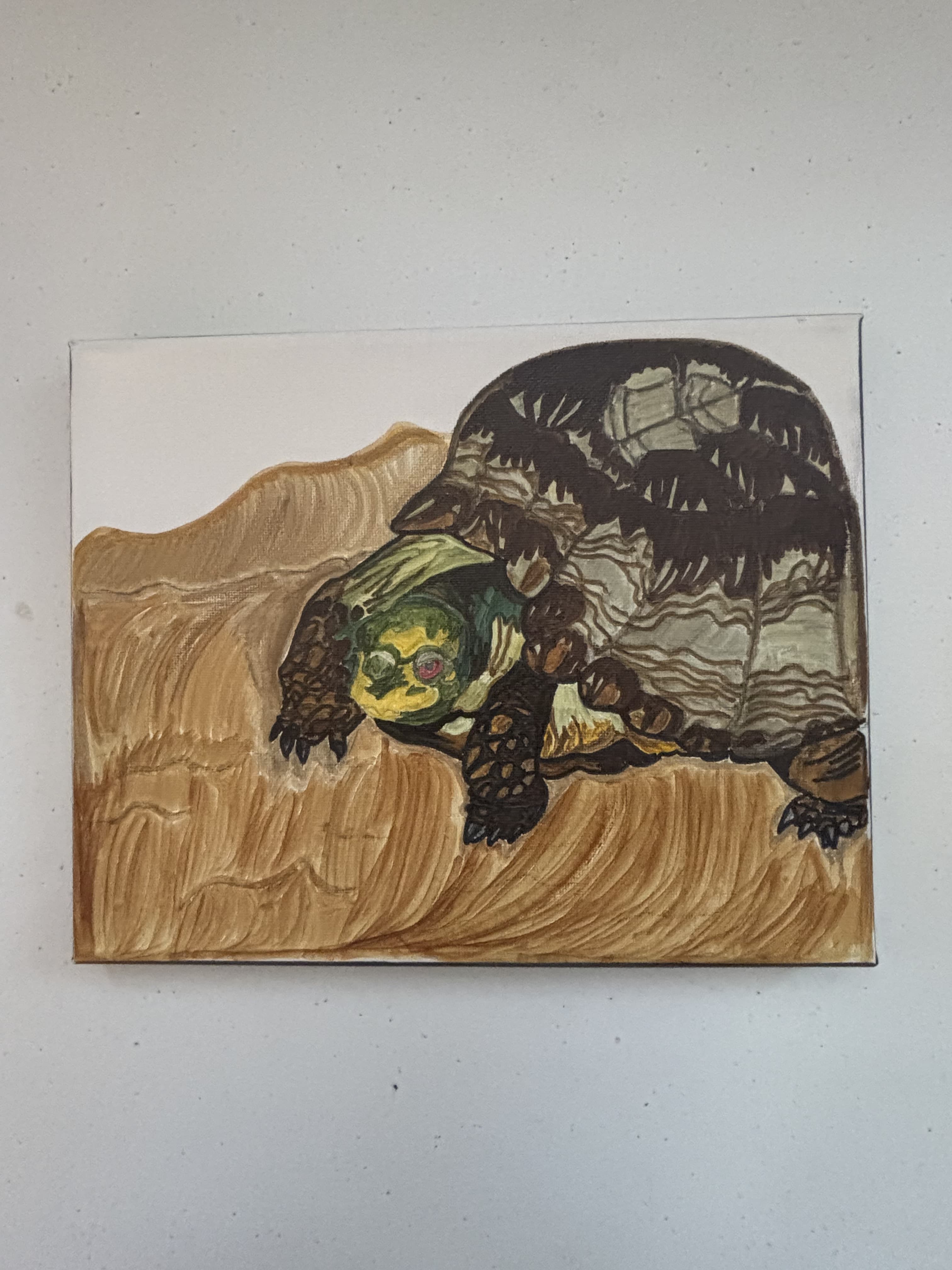 Slow Poke Turtle