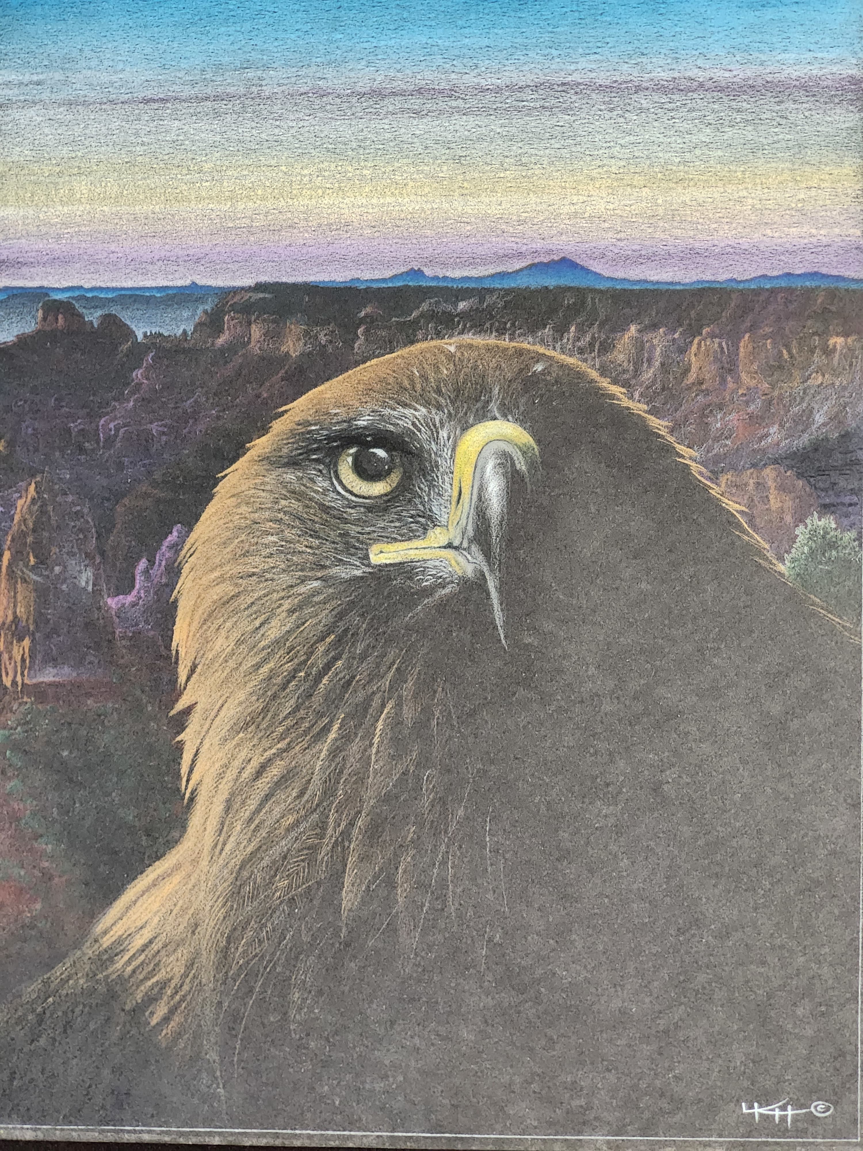 Morning Eagle